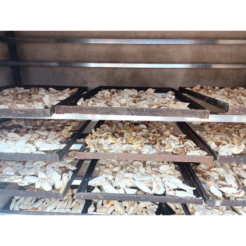 Củ Mài Núi Rừng Hoà Bình Loại 1 Hàng Mới, Trắng