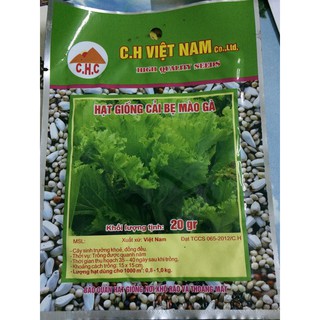 hạt giống rau cải bẹ