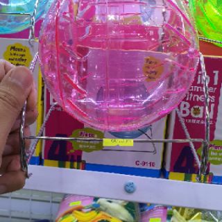 Banh chạy có đế cho Hamster