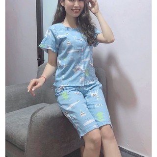 Đồ bộ mặc nhà chất siêu mát 4 màu (ảnh thật)