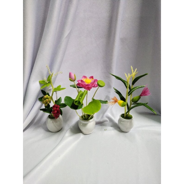 Combo 3 chậu hoa mini cao 14cm đến 15cm