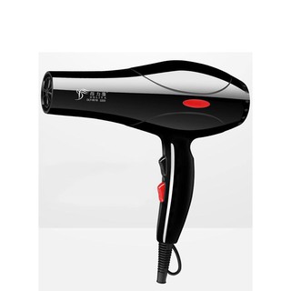 Máy sấy tóc công suất lớn tạo kiểu deliya 8018 tặng kèm đầu sấy dl08