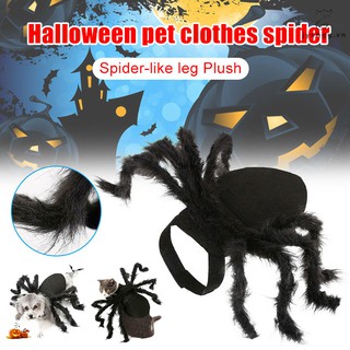 Đồ hóa trang Halloween hình nhện cho thú cưng