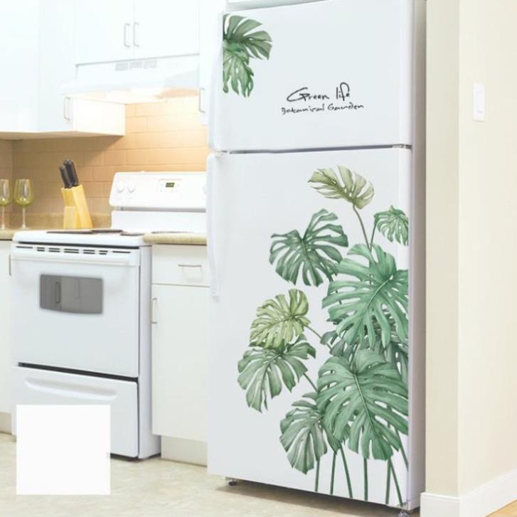 Decal dán tường khóm cọ B12 NNTB