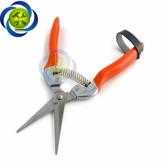 KÉO CẮT CÀNH BUDDY BD024