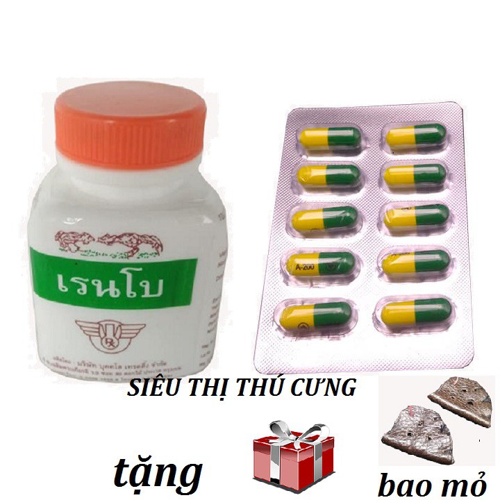 [ HỖ TRỢ PHÍ VẬN CHUYỂN ] COMBO THUỐC TĂNG CƠ BẮP VÀ THUỐC CHỐNG VIÊM  CHO GÀ - TẶNG BAO MỎ DA