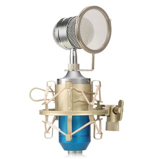 Micro Thu Âm Có Giá Đỡ Ba Chân Leihao Bm-8000