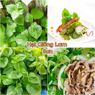 HẠT GIỐNG RAU CÀNG CUA - Loại Rau Thanh Nhiệt, Giòn và Ngon.