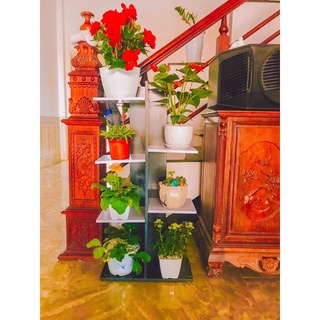 Kệ Sách Gỗ Vuông 5 tầng