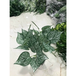 cụm lá 7 nhánh