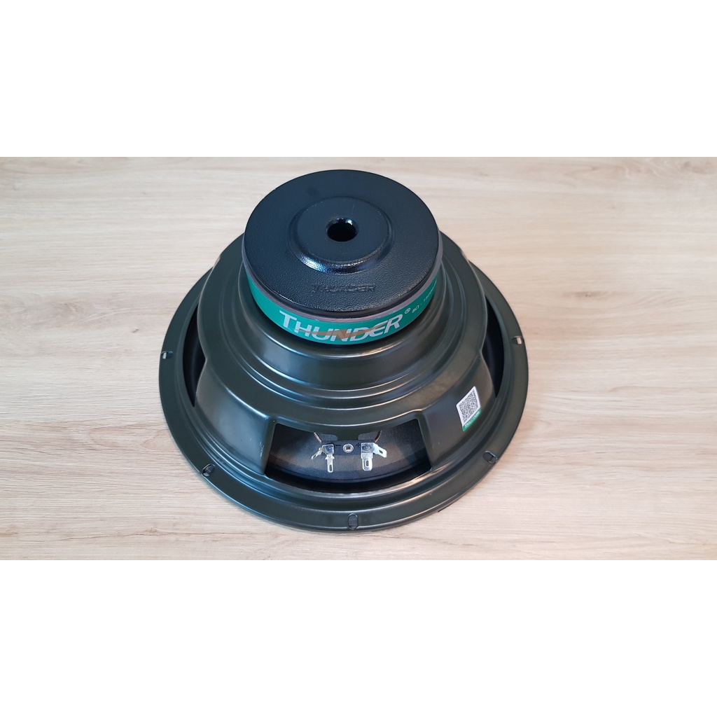 01 Cặp - LOA BASS 25 cm