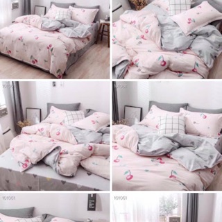 DRAP COTTON 100% GIÁ RẺ