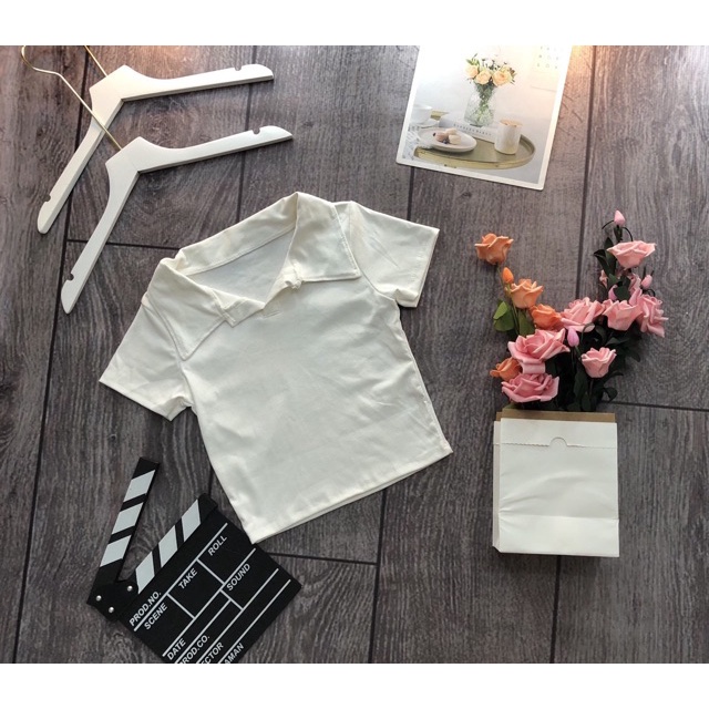 Áo croptop CÓ CỔ POLO trơn cổ bẻ hàng cao cấp | ÁO CROPTOP NỮ KIỂU CÓ CỔ  | steven.factory