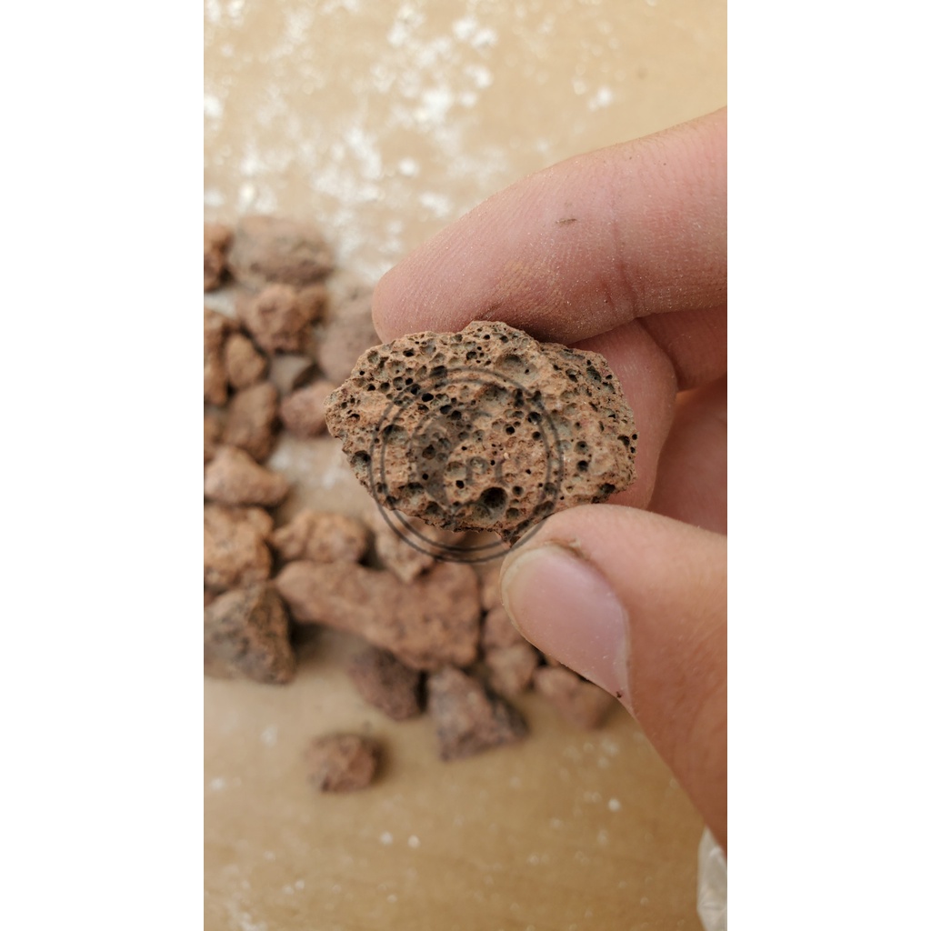 100gr đá nham thạch lọc nước, trải nền hồ cá cảnh thuỷ sinh