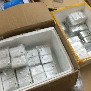 Keo ép kính iphone 5, 5S