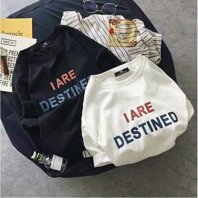 Áo phông ta lỡ free size chất mịn mát