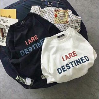 Áo phông ta lỡ free size chất mịn mát