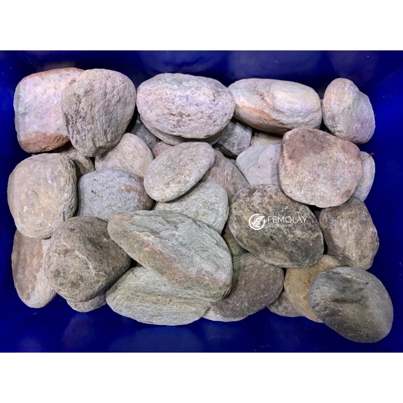 Đá Suối Femolay | Size 20cm - 40cm | Thùng 10kg