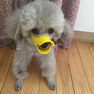 Rọ mõm hình mỏ vịt cho CHÓ MÈO