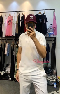 Áo polo nam Uniqlo