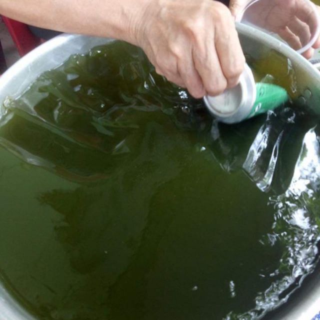 Lá thạch găng xanh (100% lá găng rừng )