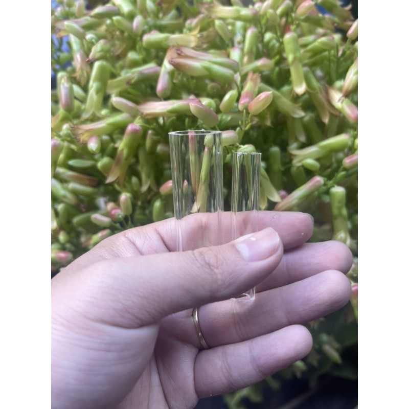 Nối thẳng Acrylic