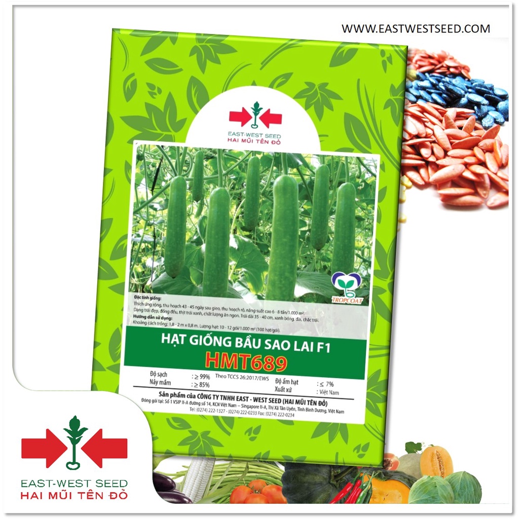 GÓI 50 HẠT GIỐNG BẦU SAO HMT689 CỦA EAST-WEST SEED (HAI MŨI TÊN ĐỎ)