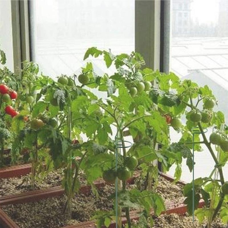 Giá đỡ trồng cây dây leo 17/ 27/ 37cm