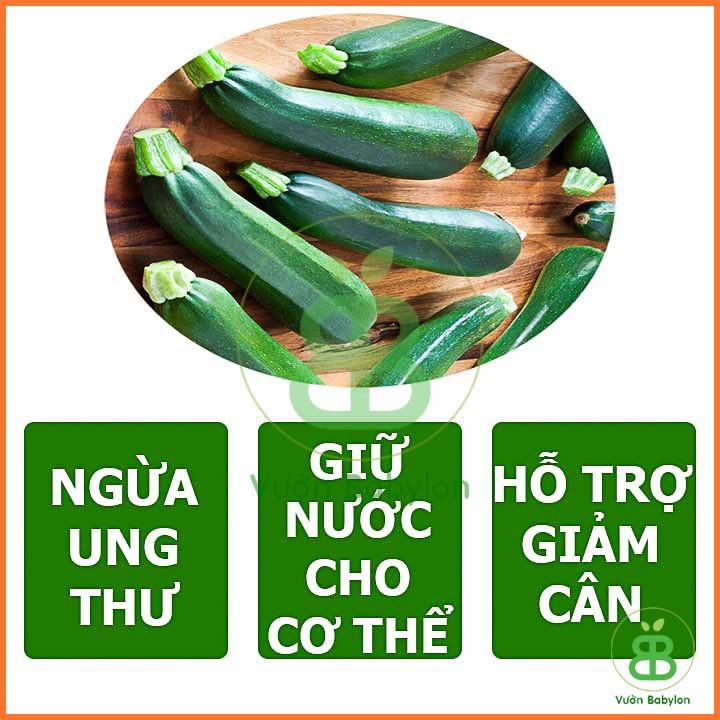 Hạt Giống Bí Ngòi Xanh (Bí Ngồi) Dễ Trồng, Năng Suất Cao