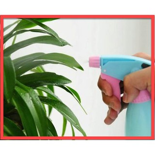 BÌNH TƯỚI CÂY PHUN SƯƠNG MINI