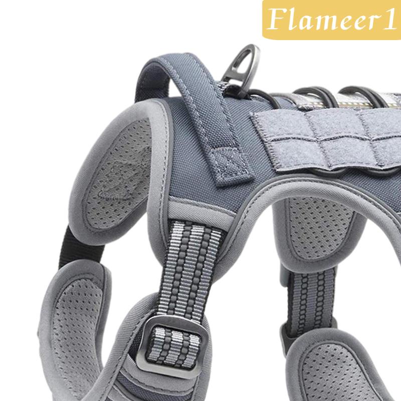 [Flameameer1] Áo Vest Phản Quang An Toàn Dành Cho Chó Cỡ Nhỏ / Vừa / Lớn