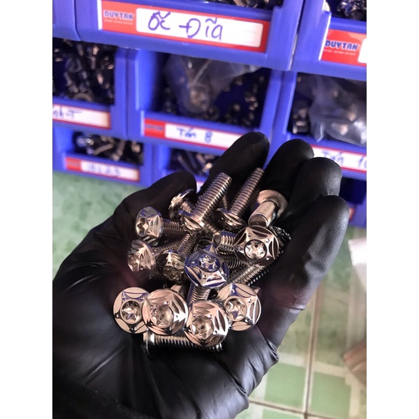 Ốc đĩa salaya đầu sao 5 cánh