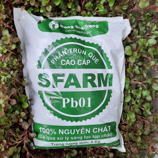 Bịch 2kg phân trùn quế hữu cơ SFARM Pb01 giảm ẩm ray mịn sàng lọc tạp chất cho rau sạch,cây kiểng, hoa nhà phố