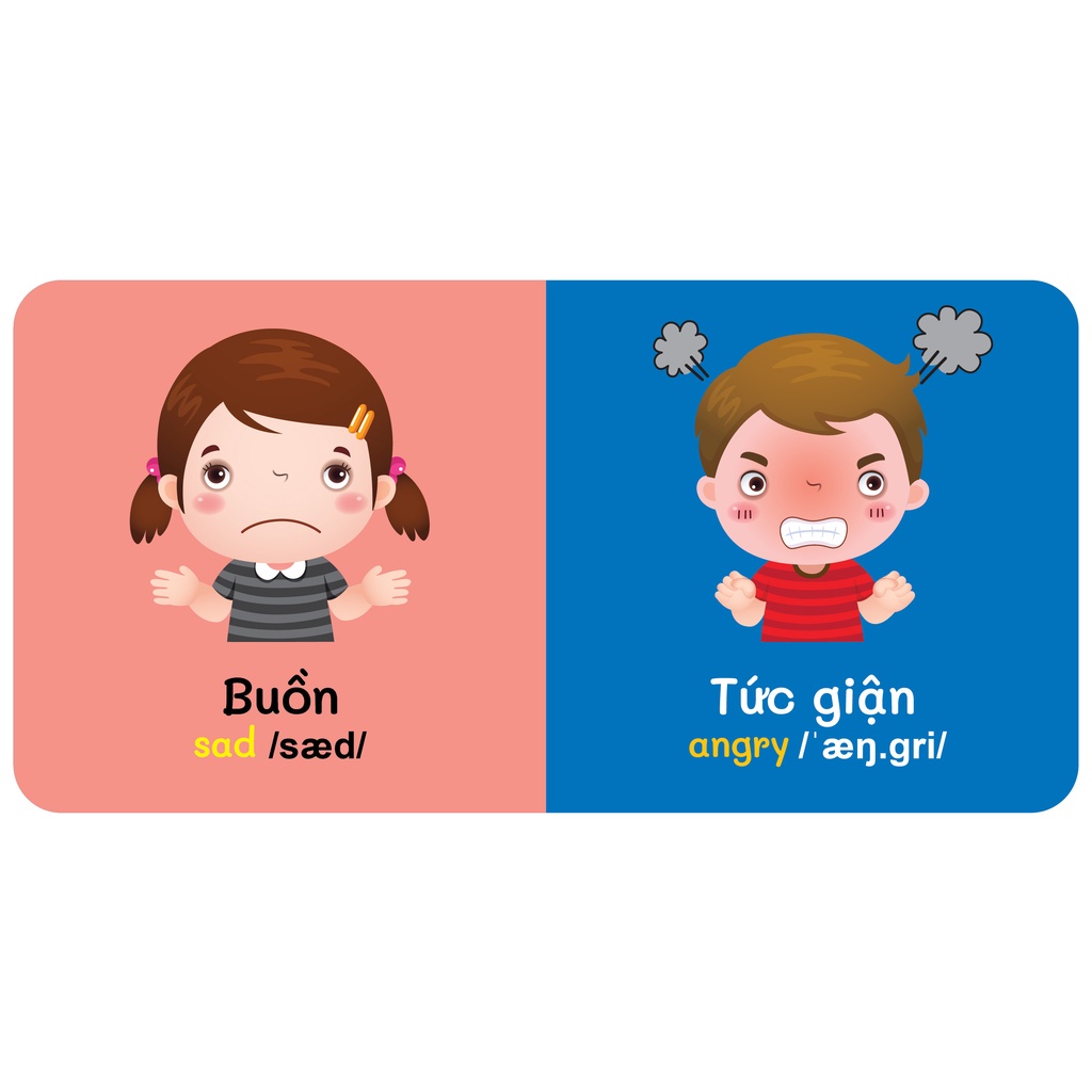 Sách - Baby'S First Picture Dictionary - Từ Điển Bằng Hình Đầu Tiên Của Bé - Cảm xúc - Emotions