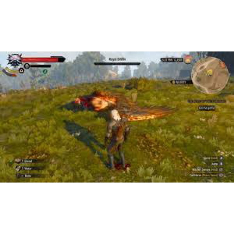 Đĩa game nintendo switch: the witcher 3 wild hunt complete edition