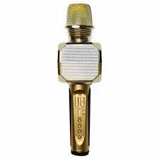 Mic Karaoke SD-10 Kèm Loa Bluetooth