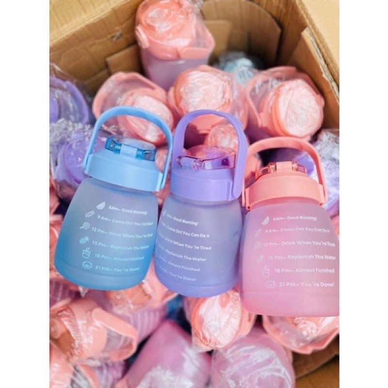Bình nước cute , bình nước 1,3lít chia vạch