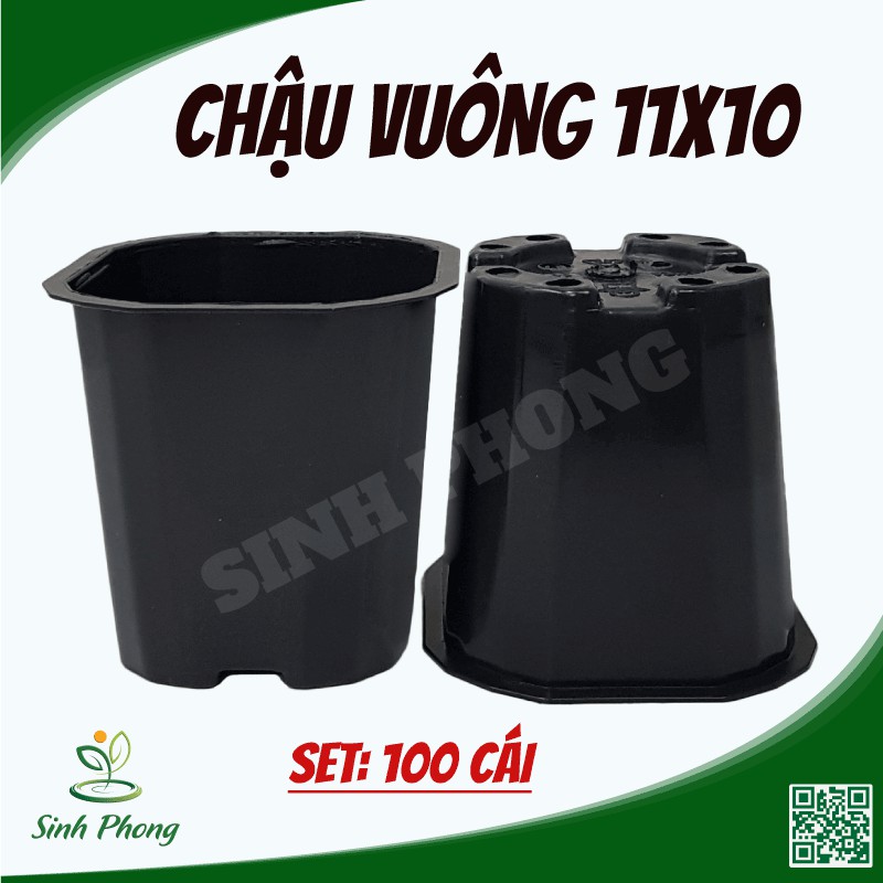 Chậu vuông 11x10 đen .