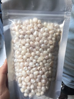 BỘT NGỌC TRAI - 500G