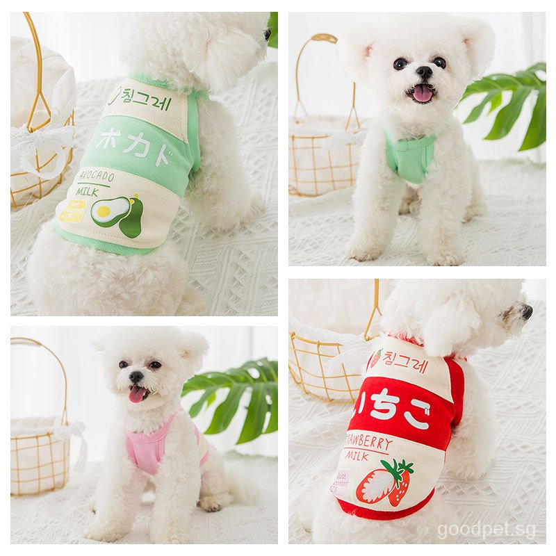 Mới Áo Họa Tiết Trái Cây Thời Trang Xuân Hè Cho Thú Cưng