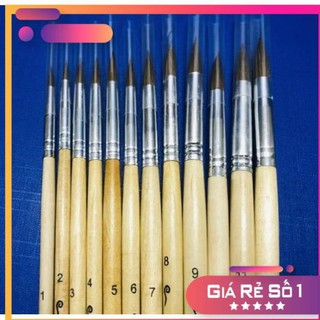CỌ MÀU NƯỚC 377 CHỌN SỐ