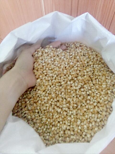 1kg HẠT Bắp Mỹ  làm món bắp rang bơ