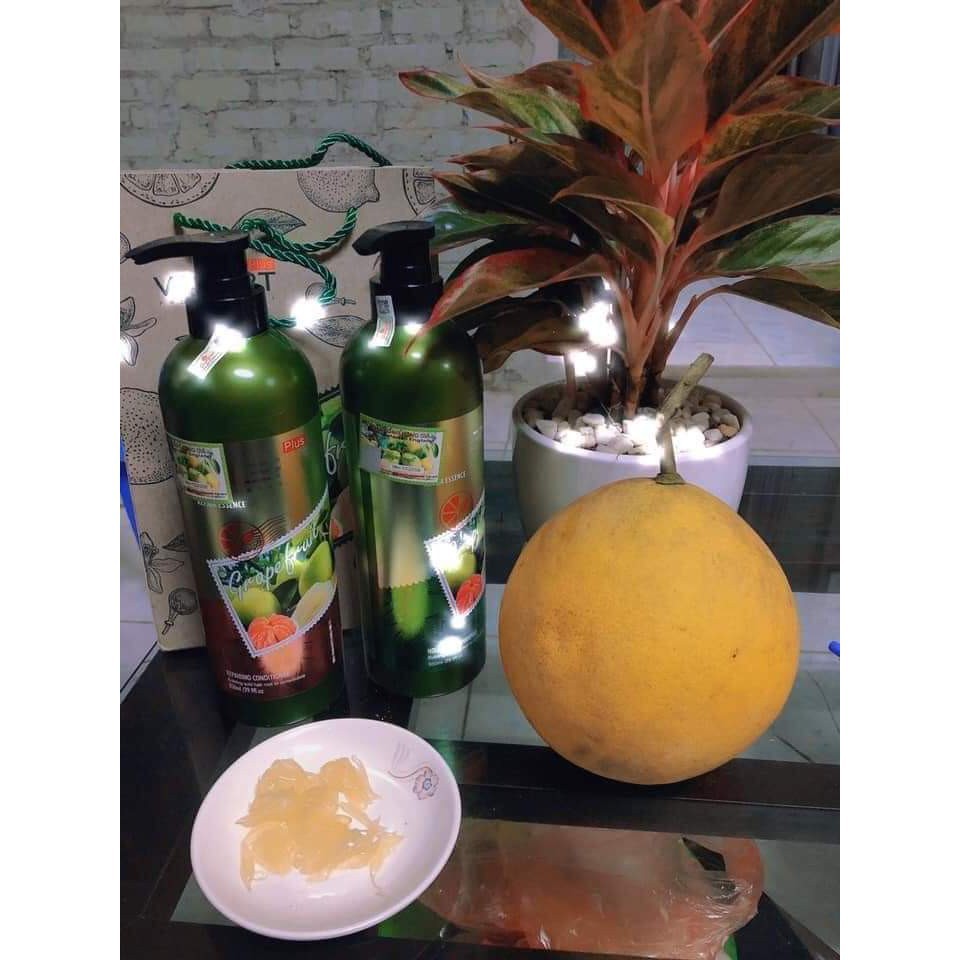 [Chính hãng] Bộ dầu gội xả bưởi Valert Grapefruit siêu mêm mượt phục hồi ngăn rụng kích thích mọc tóc 850mlx2 | BigBuy360 - bigbuy360.vn