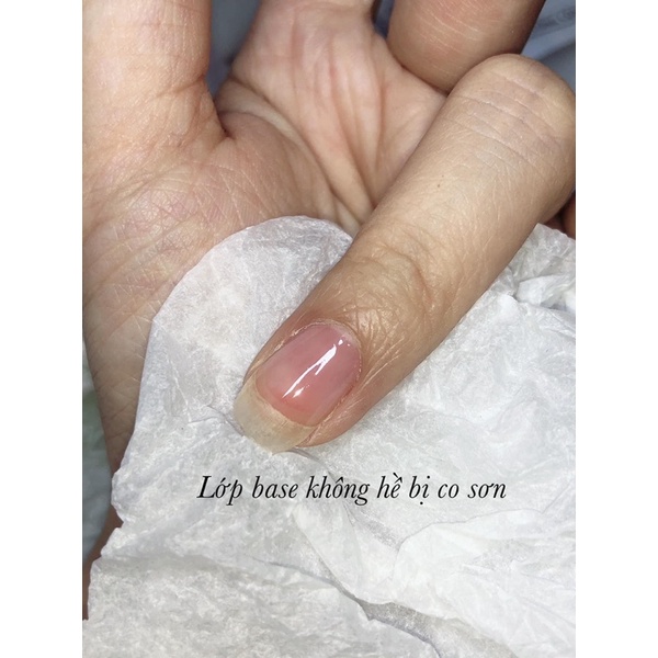 Bastop hoa hồng trắng