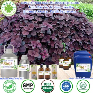Tinh dầu Tía Tô Tím Perilla essential oil - 50ml