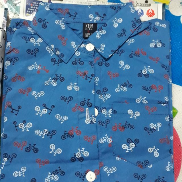 Áo của gà