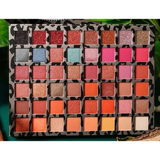 Bảng Màu Mắt 48 Màu da báo