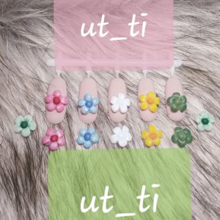 Hoa dã quỳ 5 cánh (đủ màu)🌼