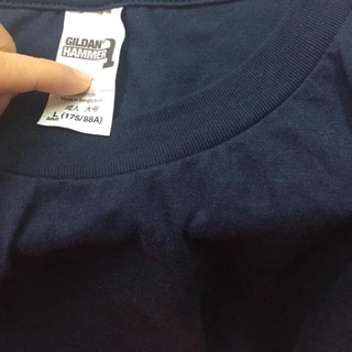 Combo 5 áo gildan Hammer và Premium