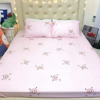 Ga gối poly